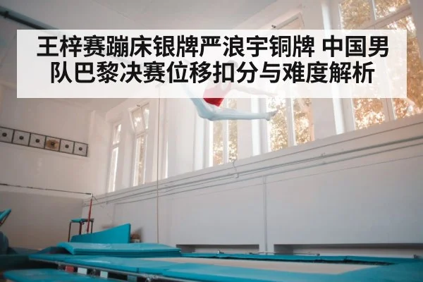 王梓赛蹦床银牌严浪宇铜牌 中国男队巴黎决赛位移扣分与难度解析